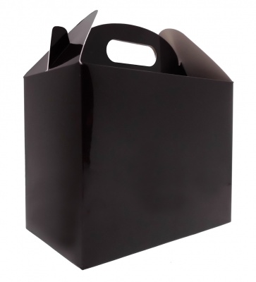 Pack of 10 GABLE BOXES 17x10x14cm - GLOSSY BLACK