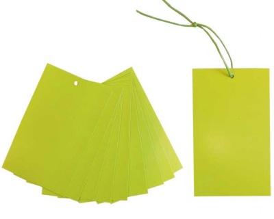 Pack 10 Gift Tags with Ties - APPLE GREEN